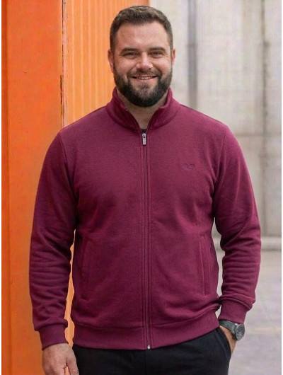 Толстовка с начесом 3XL-4XL-5XL | 40807