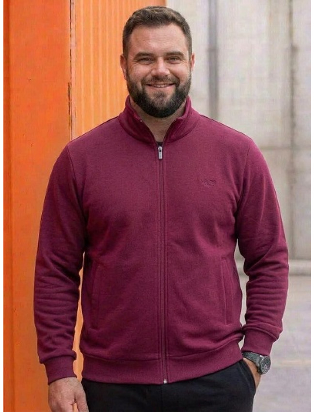 Толстовка с начесом 3XL-4XL-5XL | 40807