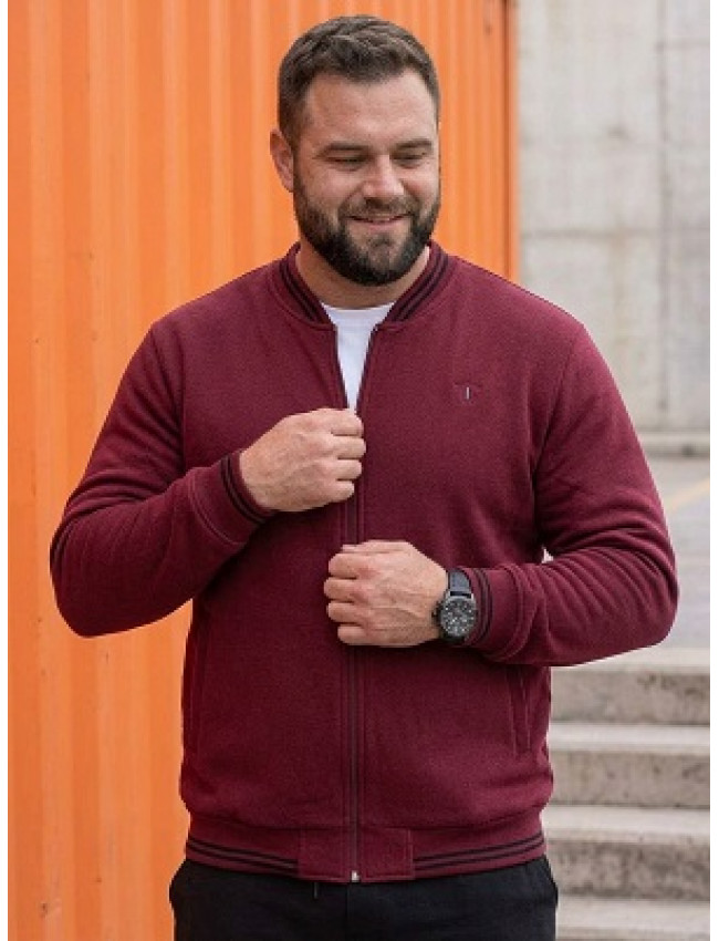 Толстовка с начесом 3XL-4XL-5XL | 40867 023