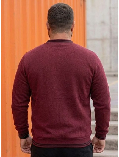Толстовка с начесом 3XL-4XL-5XL | 40867 023