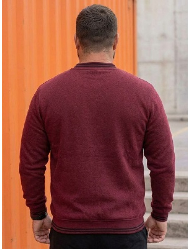 Толстовка с начесом 3XL-4XL-5XL | 40867 023