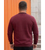 Толстовка с начесом 3XL-4XL-5XL | 40867 023