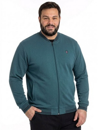 Толстовка с начесом 3XL-4XL-5XL | 40867 044